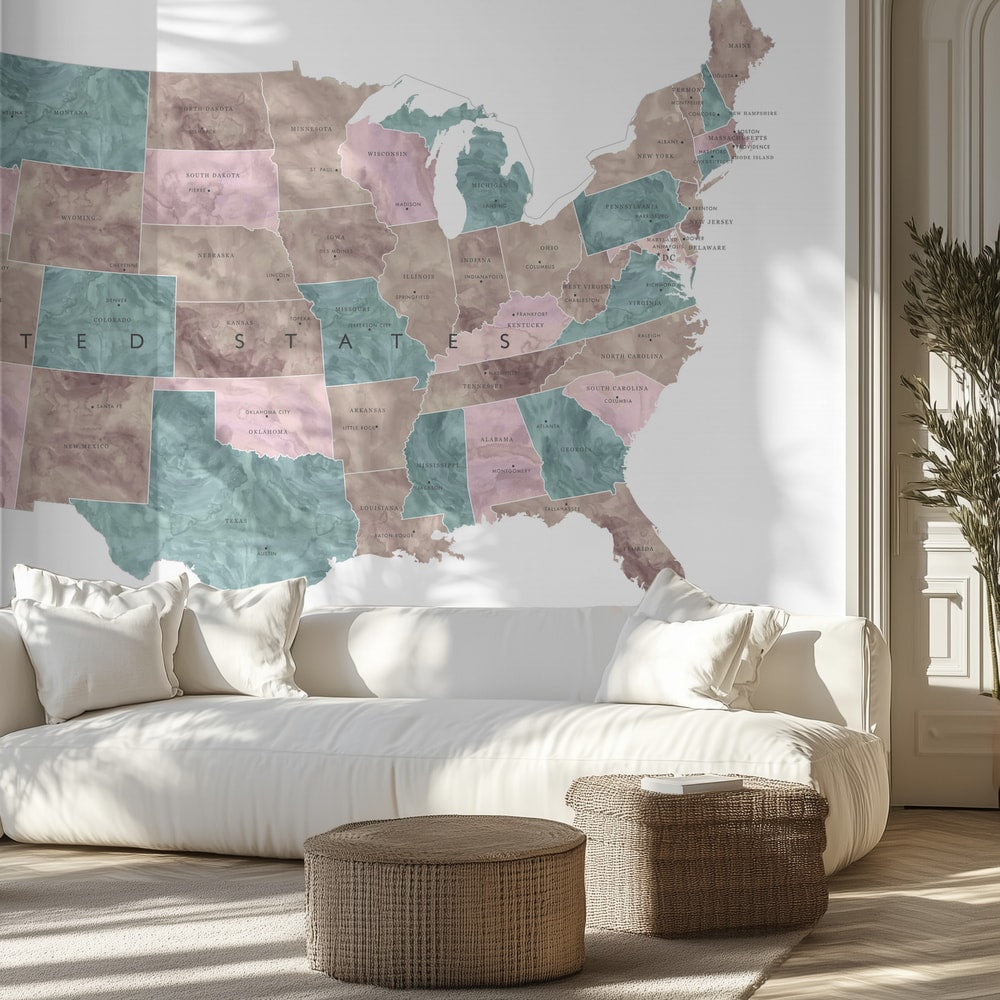 Muted United States Map