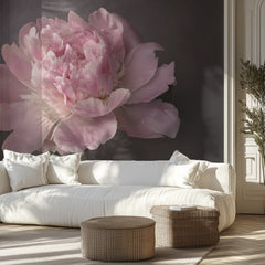 Elegant Pink Peony