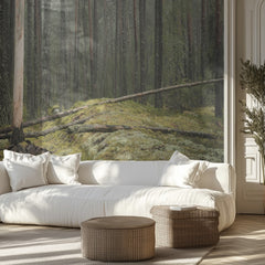 Serene Forest Landscape