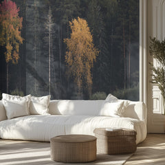 Autumn Forest Contrast