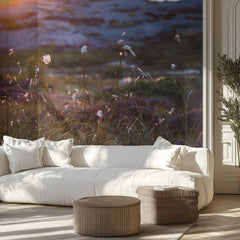 Cotton Grass Sunset Glow