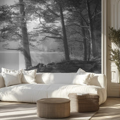 Misty Lakeside Pines
