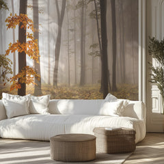Misty Autumn Forest