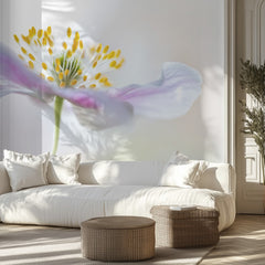 Wood Anemone