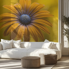 Sunshine Daisy
