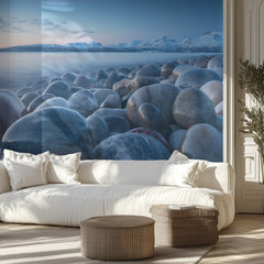 Icy Coastal Rocks