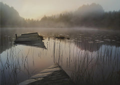 Skog In the misty morning – kvalitetsprodukt för ett vackrare och mer hållbart hem
