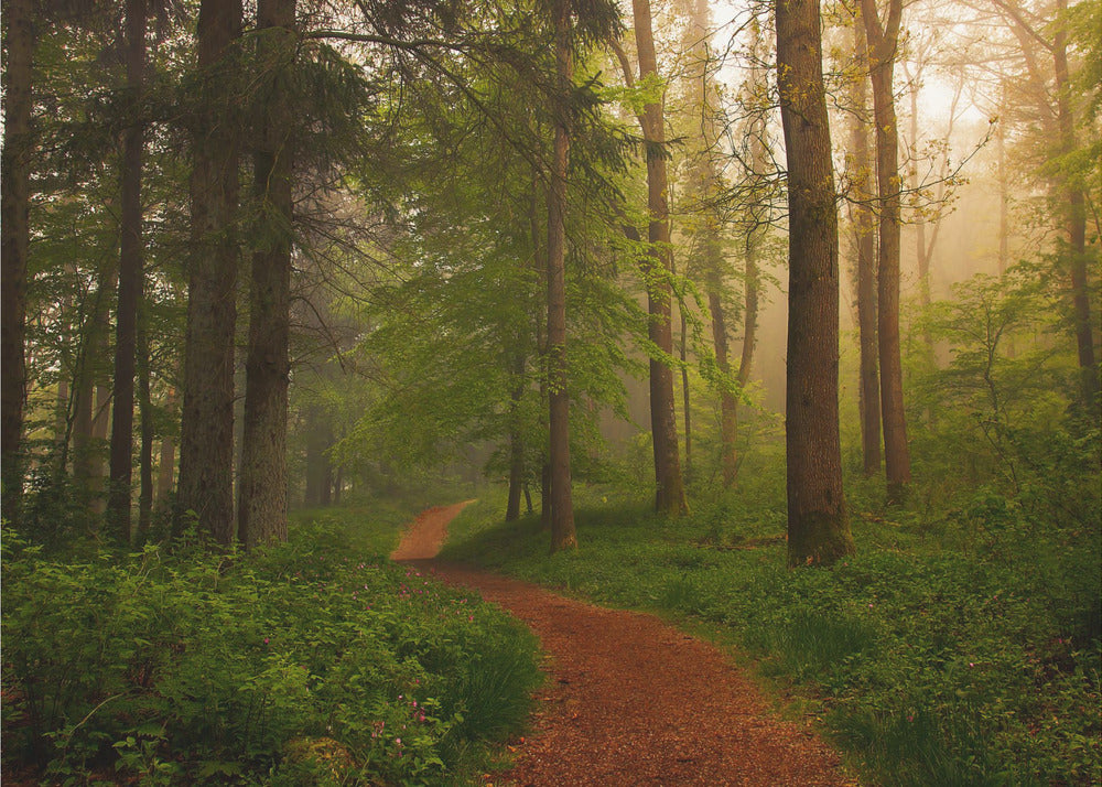 The Red Path.