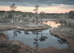 Landskap Spilled paint – kvalitetsprodukt för ett vackrare och mer hållbart hem