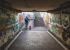 Graffiti The dog – kvalitetsprodukt för ett vackrare och mer hållbart hem