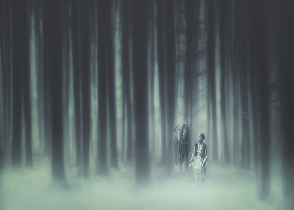 Misty Forest Companions