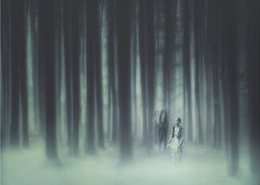 Misty Forest Companions