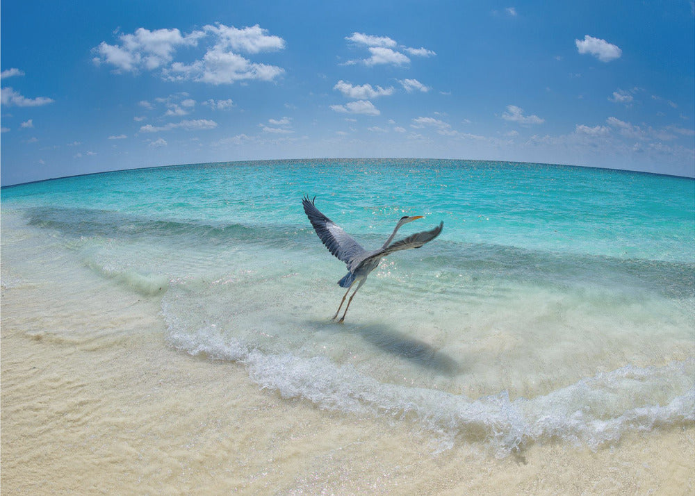 Take-off