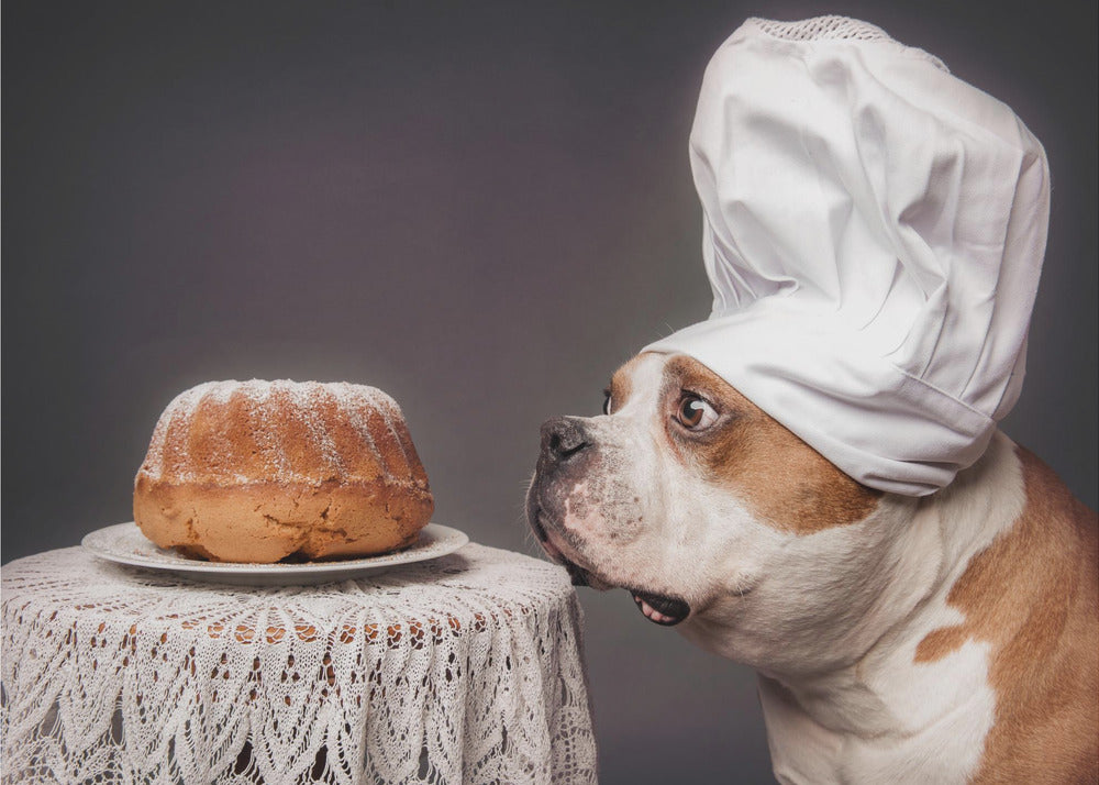 The Confectioner and his masterpiece