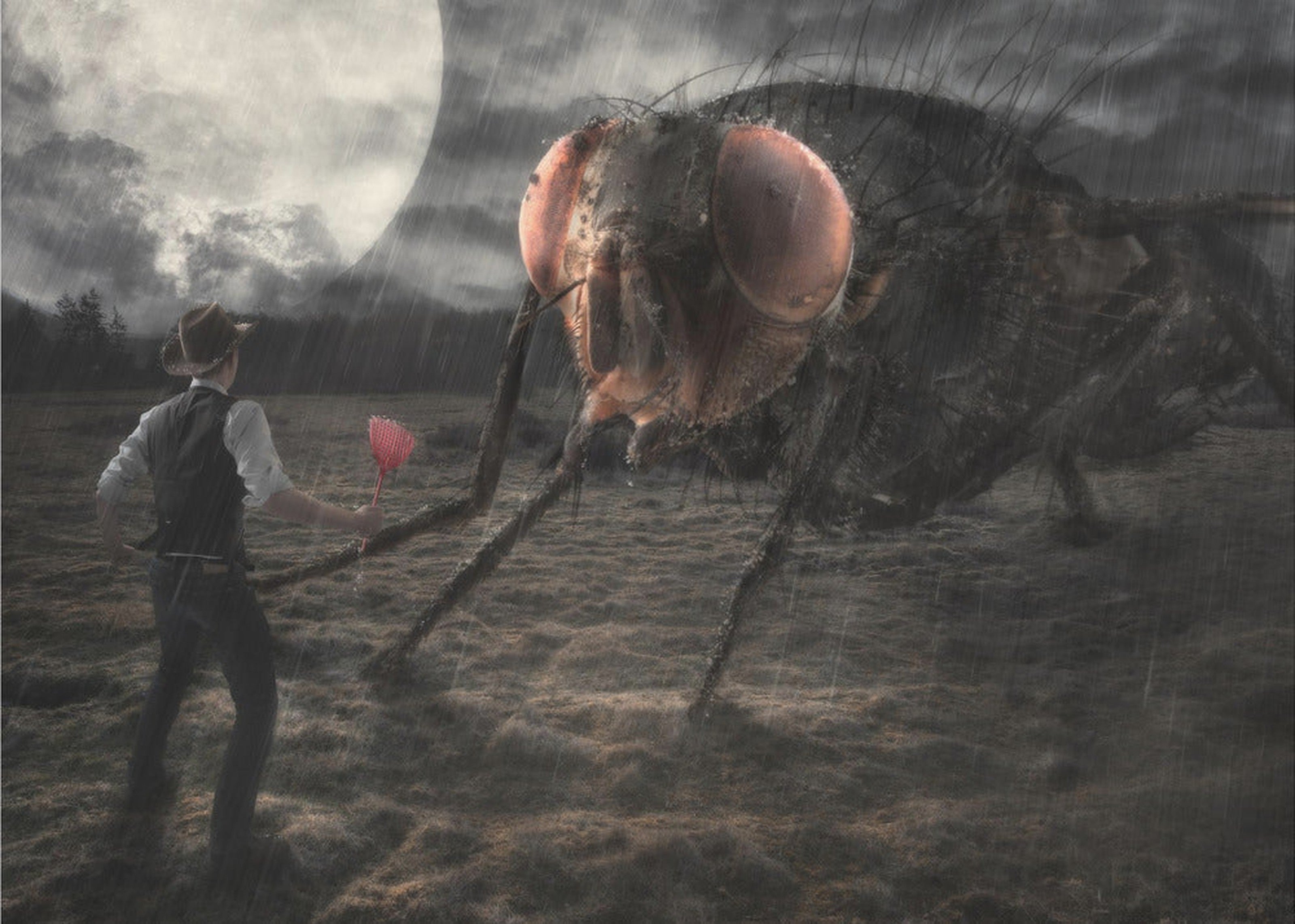 The Duel