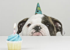 Barnrum A Little Birthday – kvalitetsprodukt för ett vackrare och mer hållbart hem