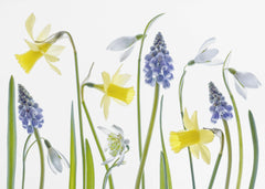Blommor Spring – kvalitetsprodukt för ett vackrare och mer hållbart hem