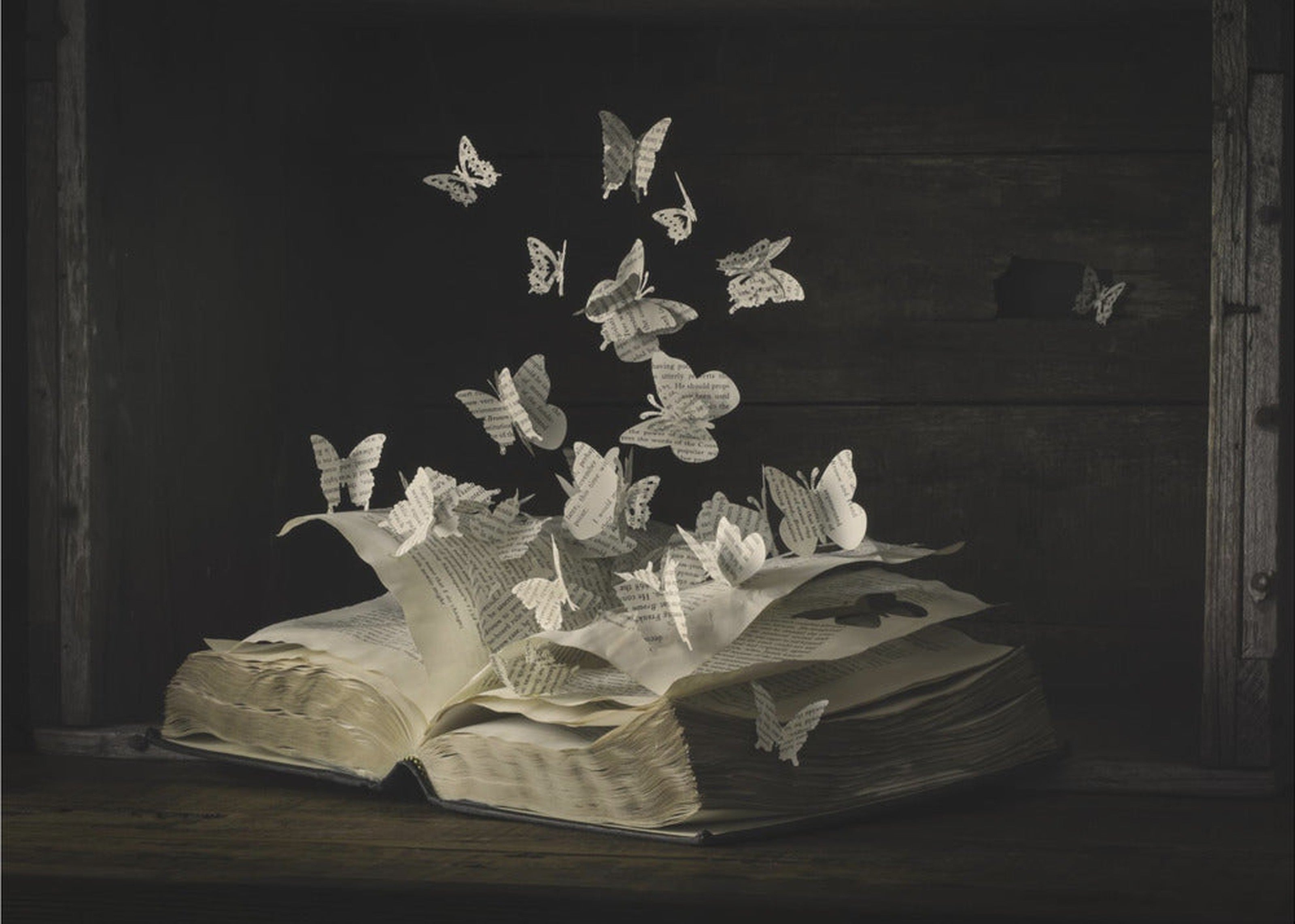 Lepidopterology