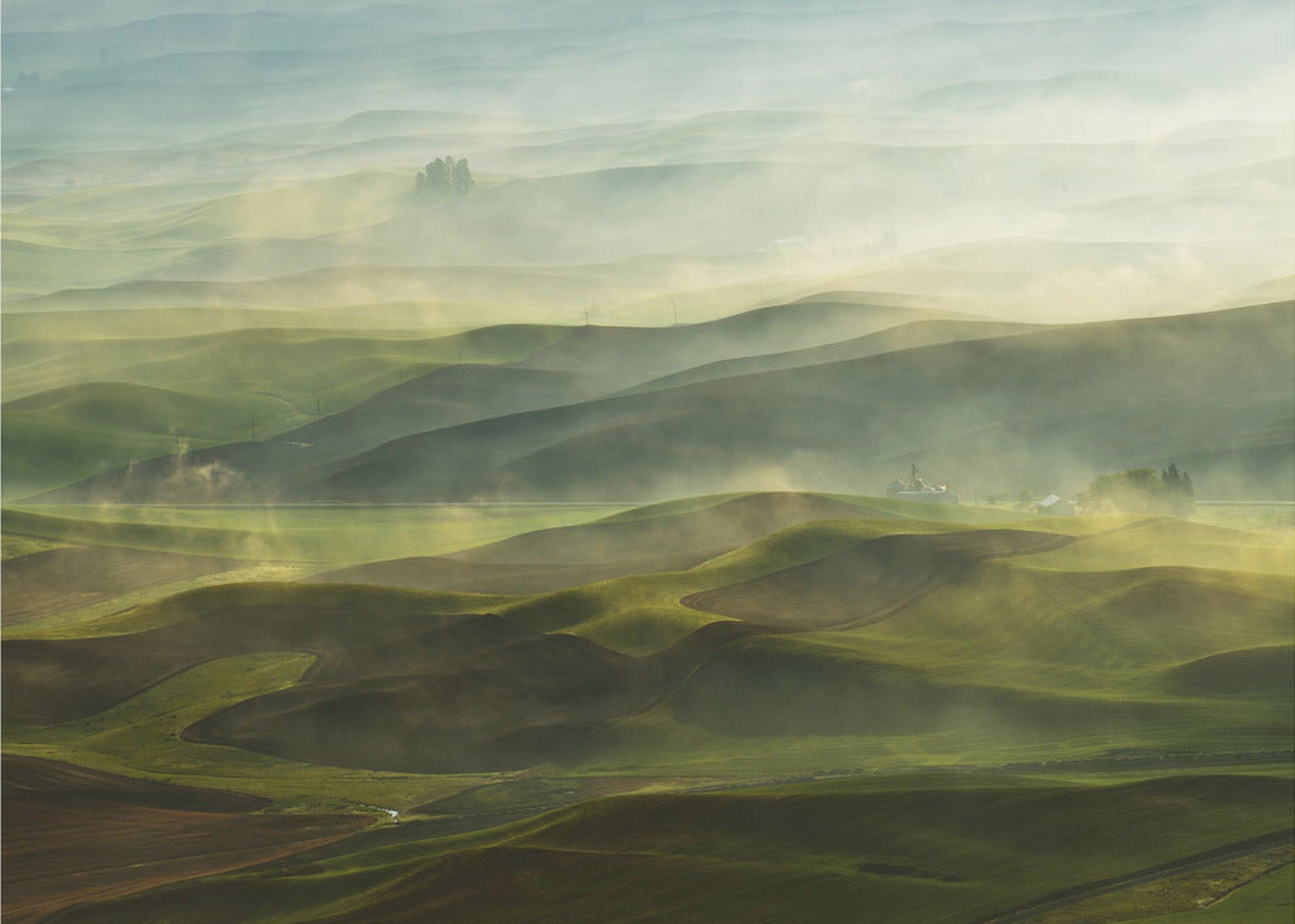 Golden Morning-Palouse