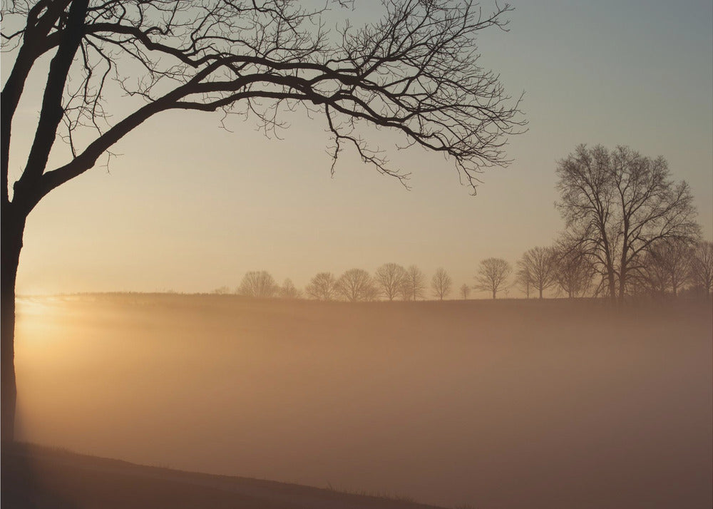 Sunrise in Valley Forge National Park