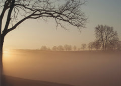 Skog Sunrise in Valley Forge National Park – kvalitetsprodukt för ett vackrare och mer hållbart hem