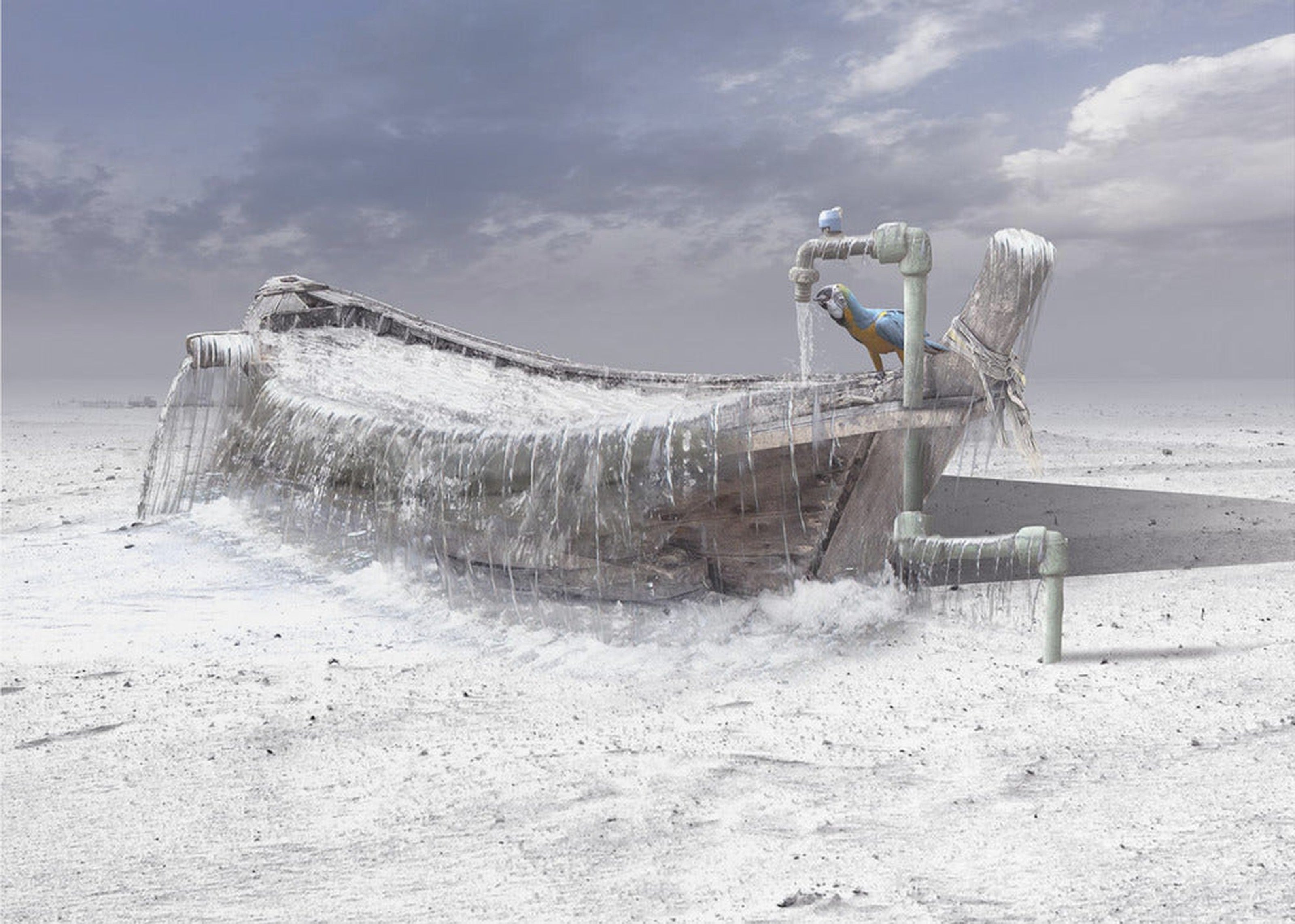 The frozen water
