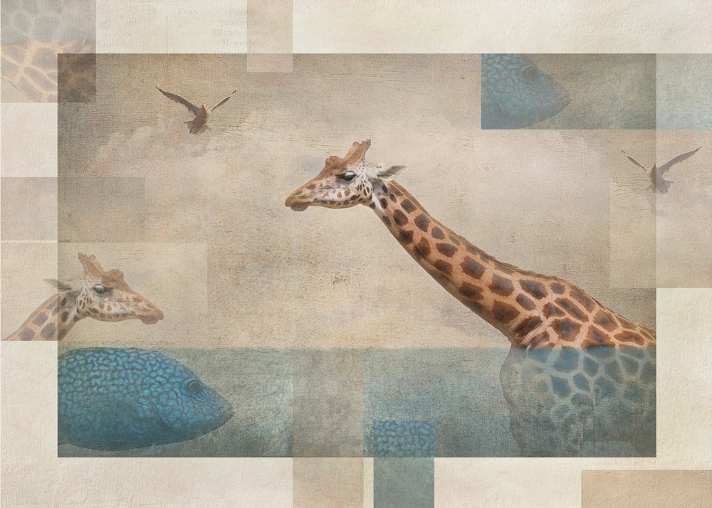Surreal Giraffe Dream