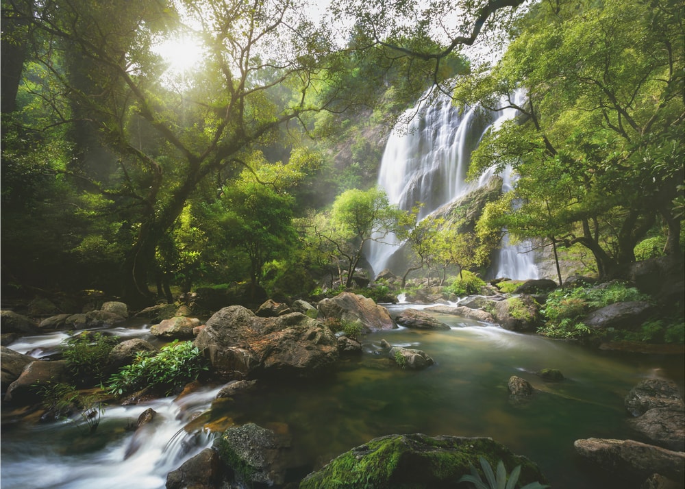 Sunlit Jungle Waterfall