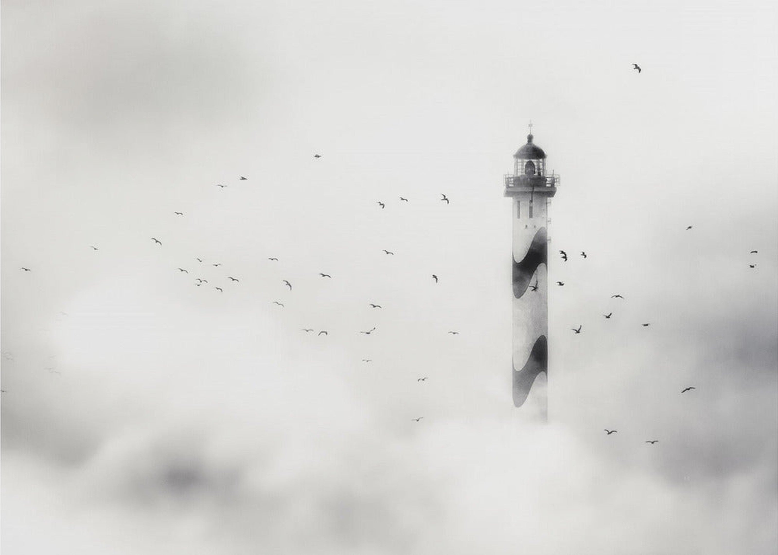 the fog