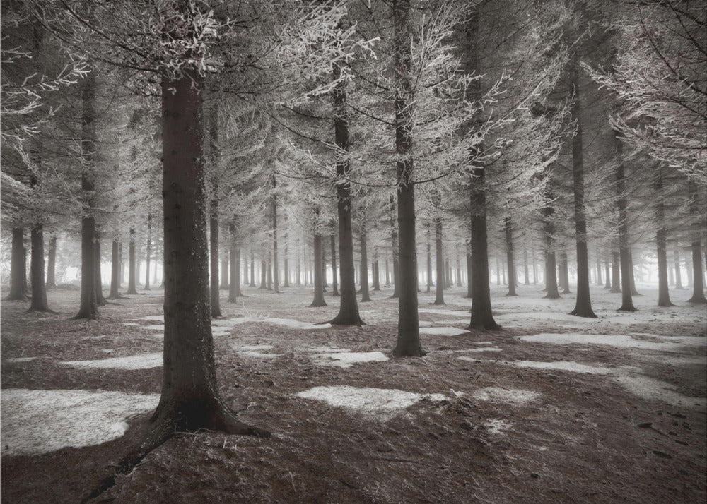 The start of winter