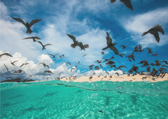 Sommar Ocean bird – kvalitetsprodukt för ett vackrare och mer hållbart hem