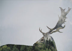 Fantasy Antler Double-exposed – kvalitetsprodukt för ett vackrare och mer hållbart hem