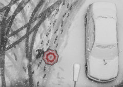 Bilar winter passengers – kvalitetsprodukt för ett vackrare och mer hållbart hem