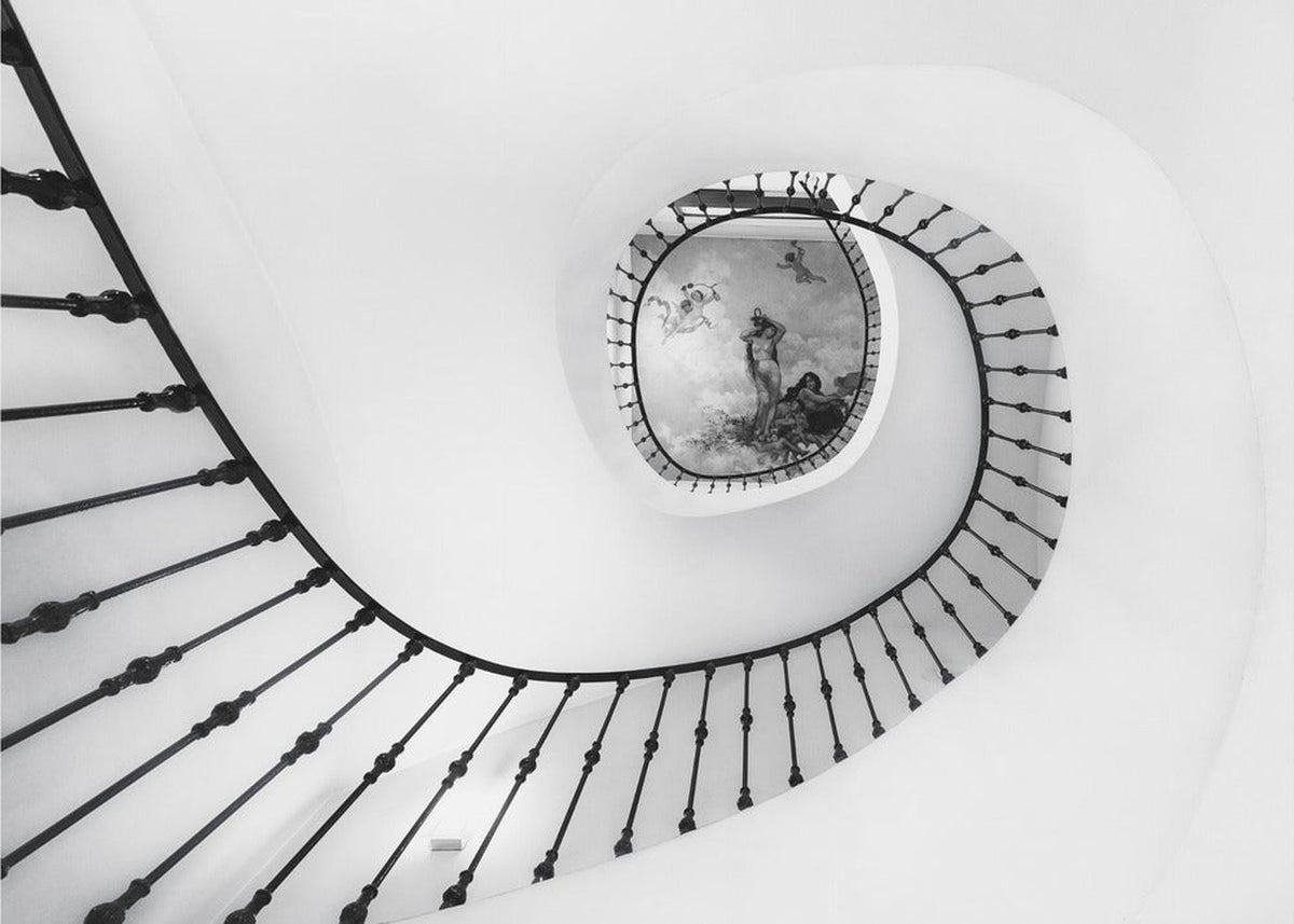The Ladder