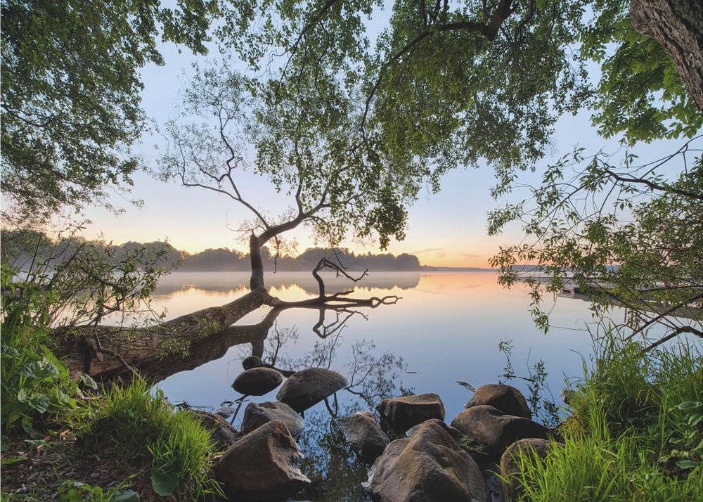 Misty Lake Morning