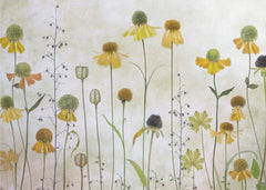Blommor Helenium – kvalitetsprodukt för ett vackrare och mer hållbart hem