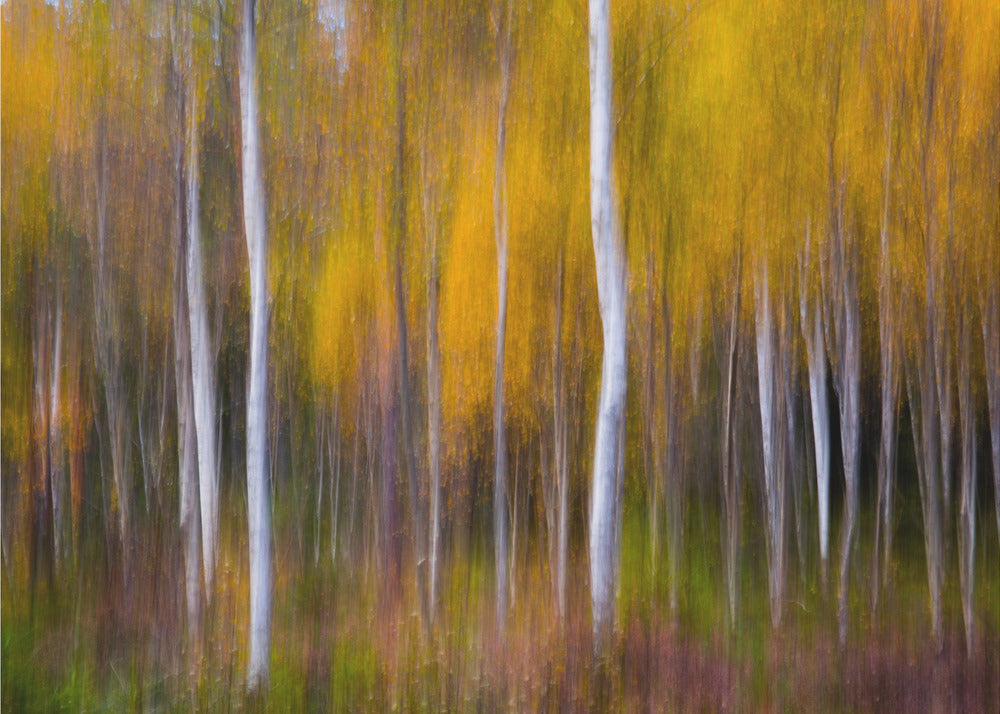 Abstract Fall