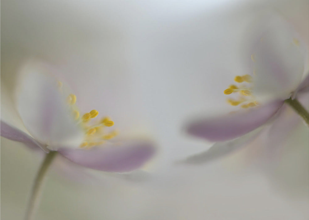 Soft whispering