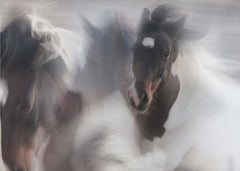 Djur Runaway horse – kvalitetsprodukt för ett vackrare och mer hållbart hem