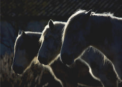 Djur Horses (colored version) - Minimalistisk hästtapet – högkvalitativ tapet för en personlig och harmonisk vägg