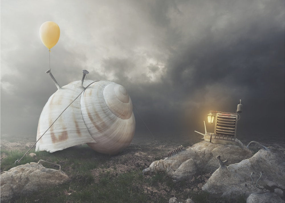 Whimsical Snail Journey