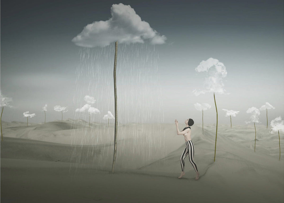 Cloud Farm