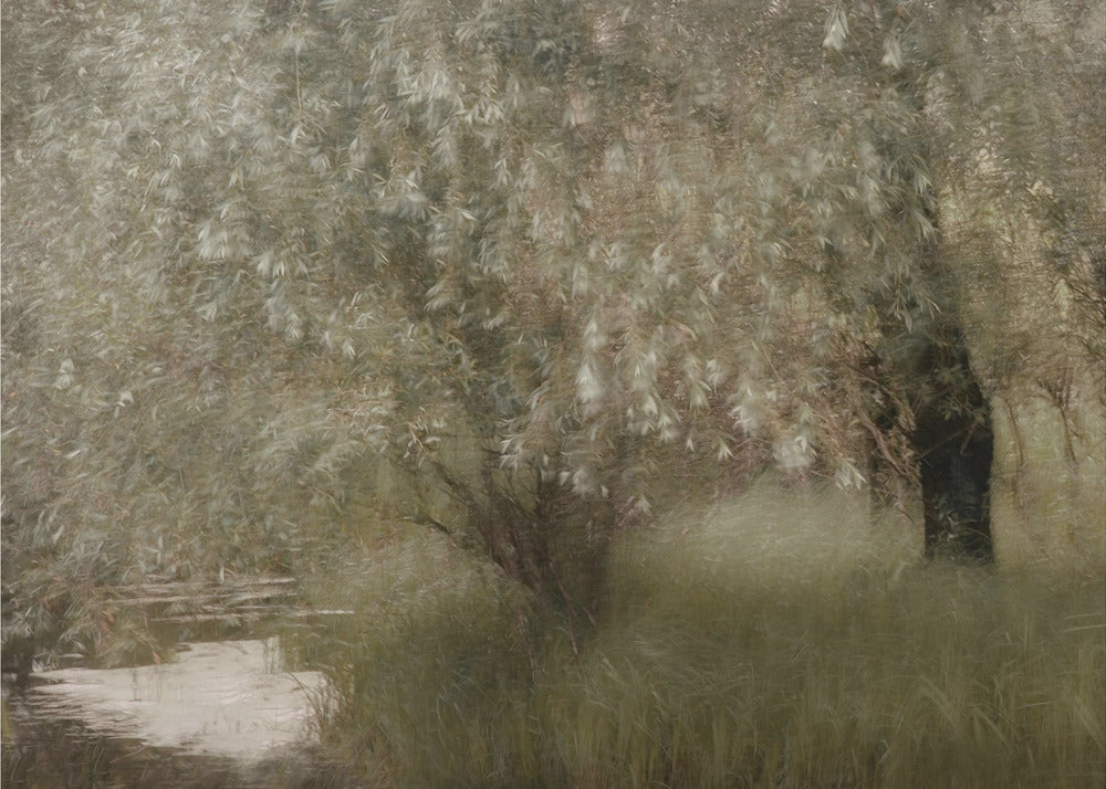 Ved elvebredden