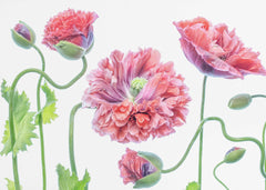 Blommor Fancy – kvalitetsprodukt för ett vackrare och mer hållbart hem