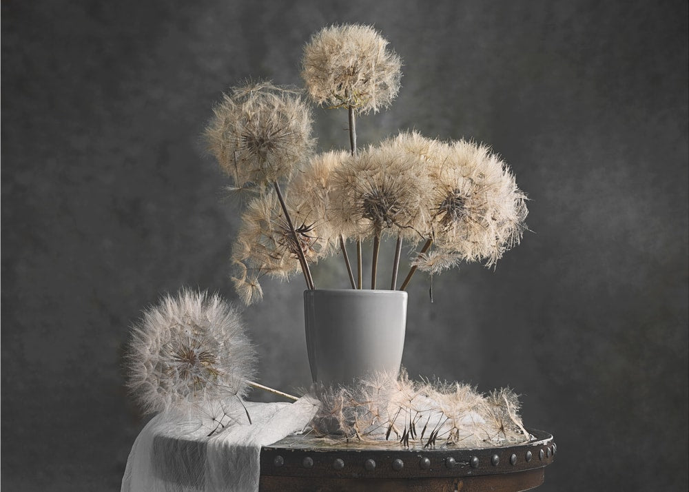 Delicate Dandelions