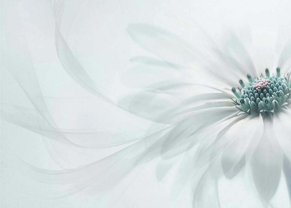 Purity