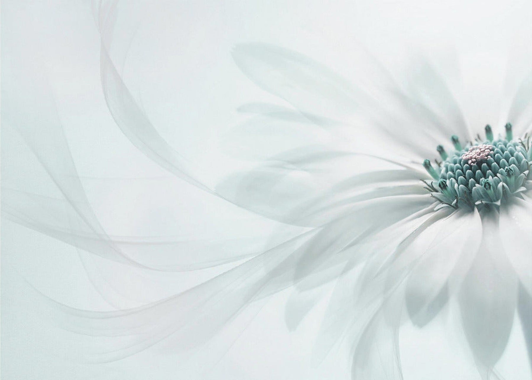 Purity