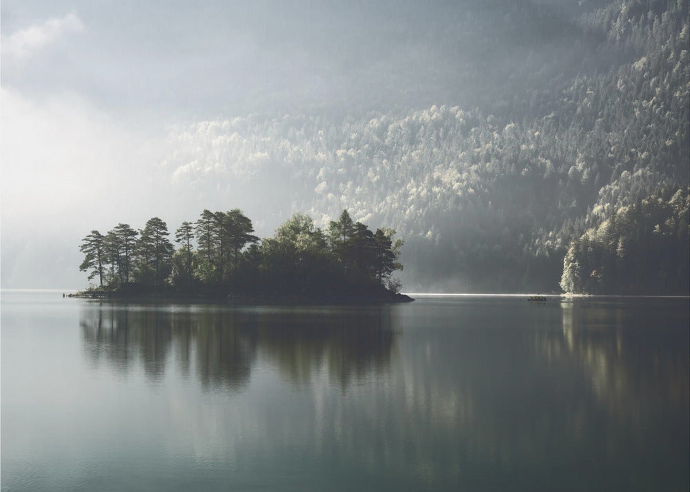 Morning Fog Clearing