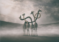 Surreal Giraffe Necks