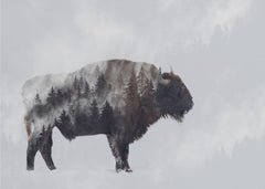 Fantasy Bison - Double Exposure – kvalitetsprodukt för ett vackrare och mer hållbart hem